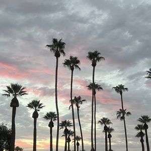 Meet your Posher, Kristie